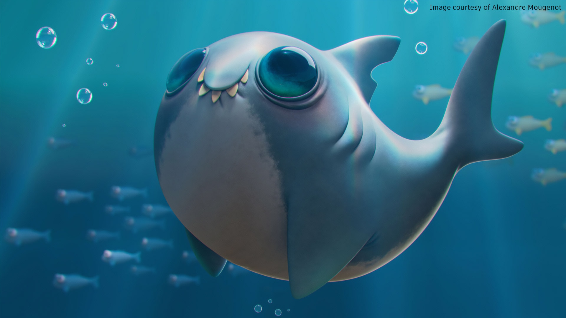 Shark with big eyes swimming above a small fish 