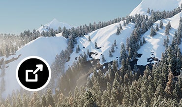 Snowy mountains covered in trees